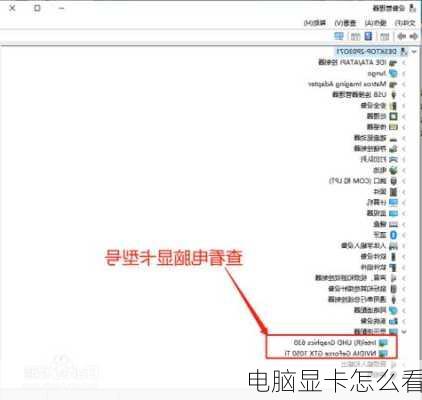 电脑显卡怎么看