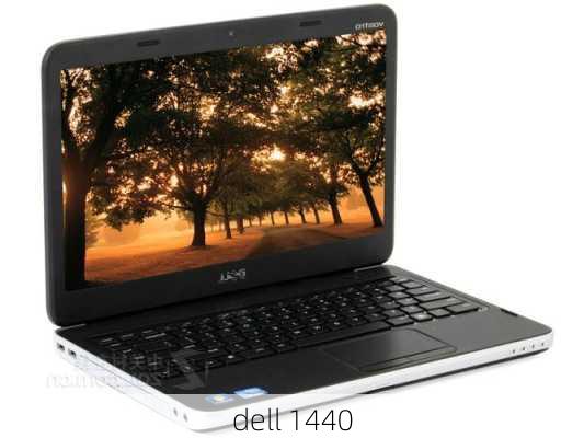 dell 1440