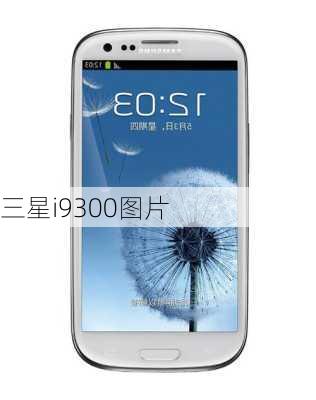 三星i9300图片