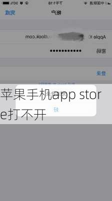 苹果手机app store打不开