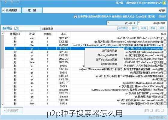 p2p种子搜索器怎么用