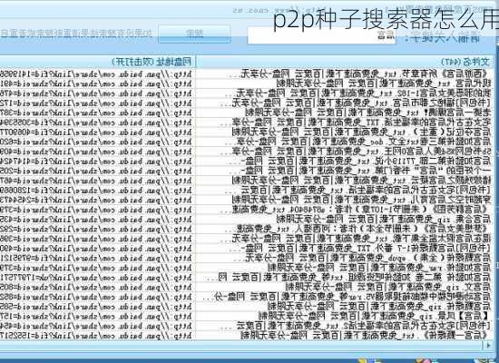 p2p种子搜索器怎么用