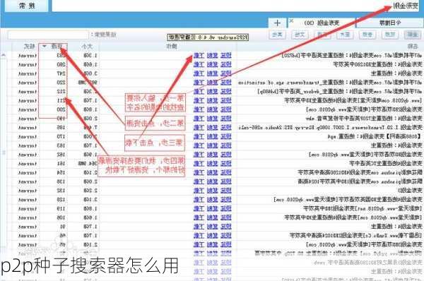 p2p种子搜索器怎么用