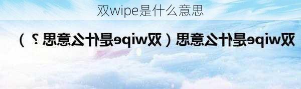 双wipe是什么意思