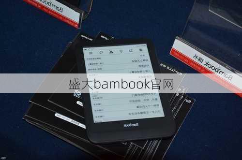 盛大bambook官网