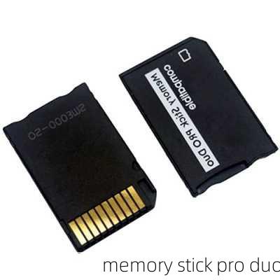 memory stick pro duo