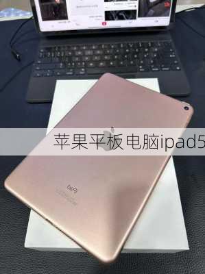 苹果平板电脑ipad5