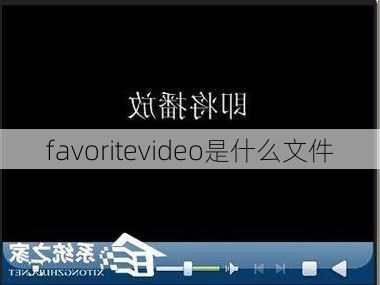 favoritevideo是什么文件