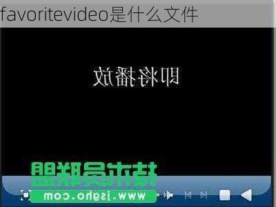 favoritevideo是什么文件