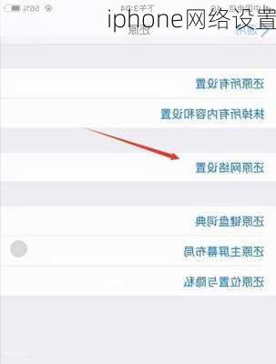 iphone网络设置