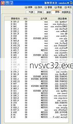 nvsvc32.exe