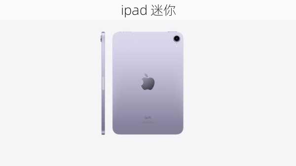 ipad 迷你