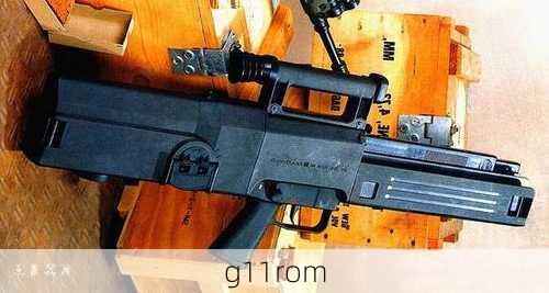 g11rom