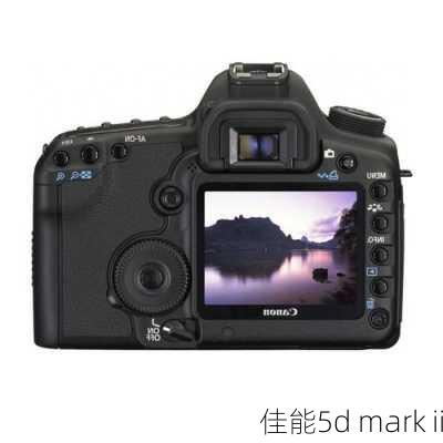 佳能5d mark ii