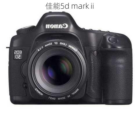 佳能5d mark ii