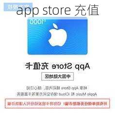 app store 充值