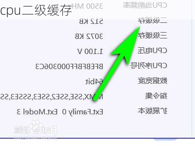 cpu二级缓存
