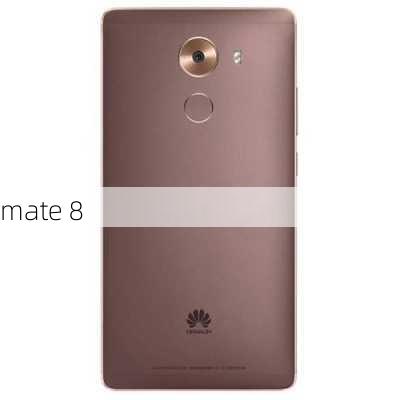 mate 8