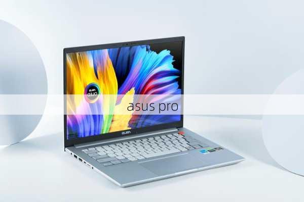 asus pro