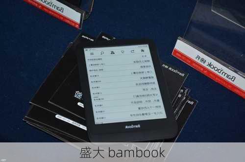 盛大 bambook