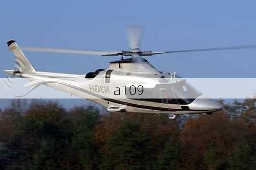 a109