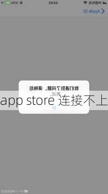 app store 连接不上