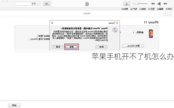 苹果手机开不了机怎么办