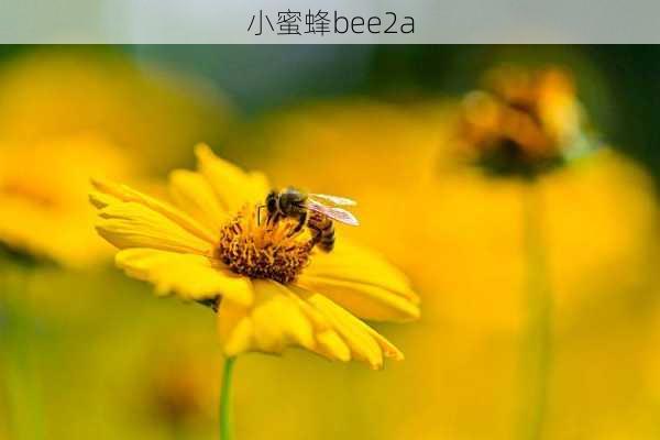 小蜜蜂bee2a