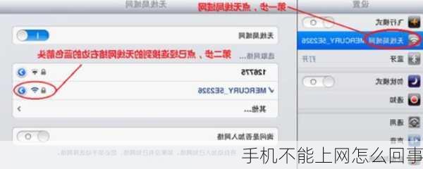 手机不能上网怎么回事
