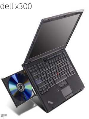 dell x300