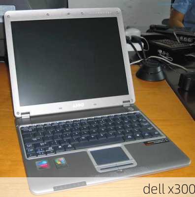 dell x300