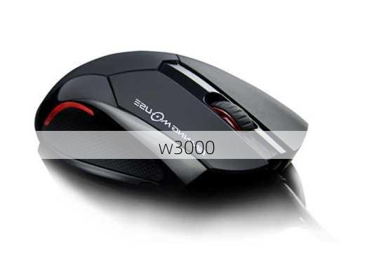 w3000