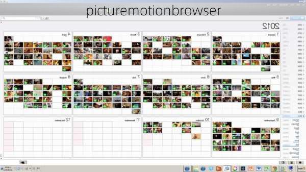 picturemotionbrowser