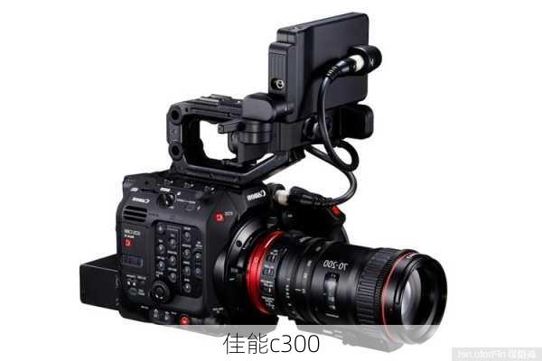 佳能c300