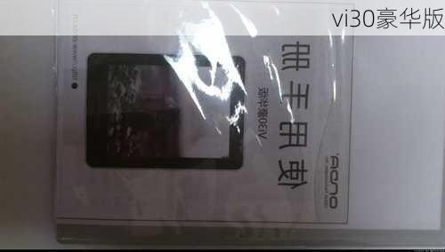 vi30豪华版