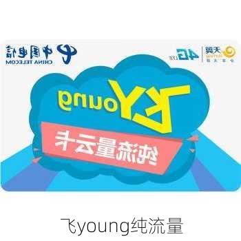 飞young纯流量