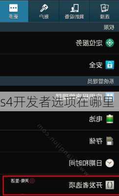 s4开发者选项在哪里