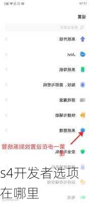 s4开发者选项在哪里