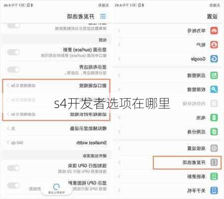 s4开发者选项在哪里