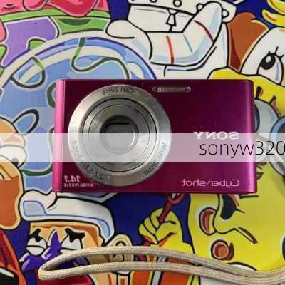 sonyw320