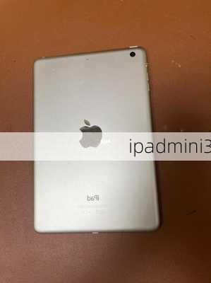 ipadmini3