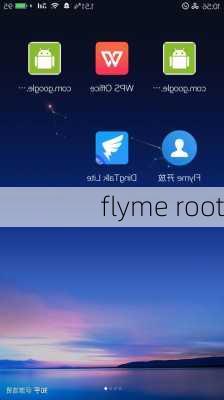 flyme root