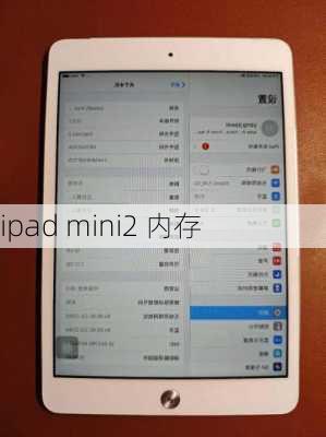 ipad mini2 内存