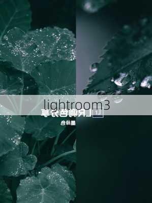 lightroom3