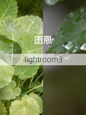 lightroom3