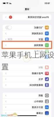 苹果手机上网设置