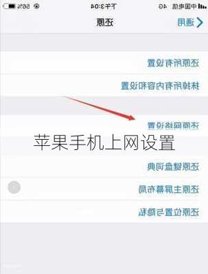 苹果手机上网设置
