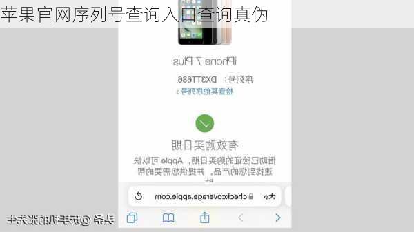 苹果官网序列号查询入口查询真伪