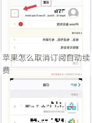 苹果怎么取消订阅自动续费