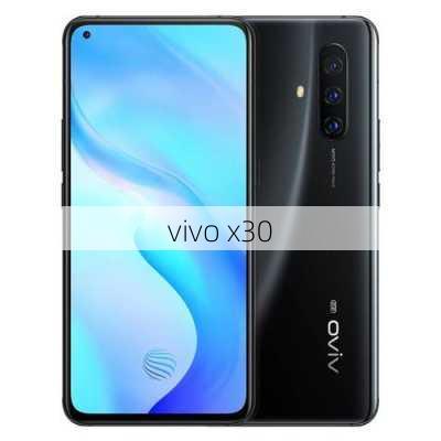 vivo x30